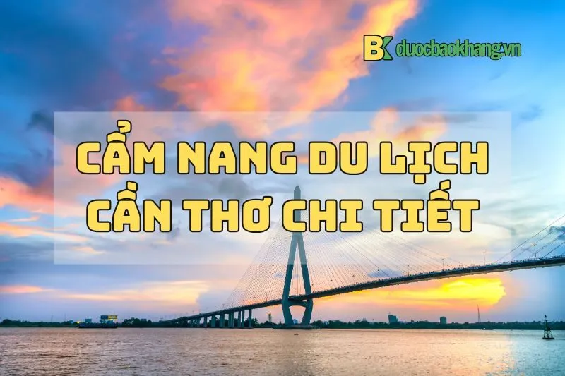 Cẩm nang du lịch Cần Thơ 2024 chi tiết: Điểm tham quan, ẩm thực, lưu trú