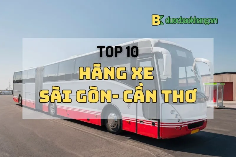 Top 10 xe đi Cần Thơ xịn sò: Limousine, giường nằm từ Sài Gòn 2024