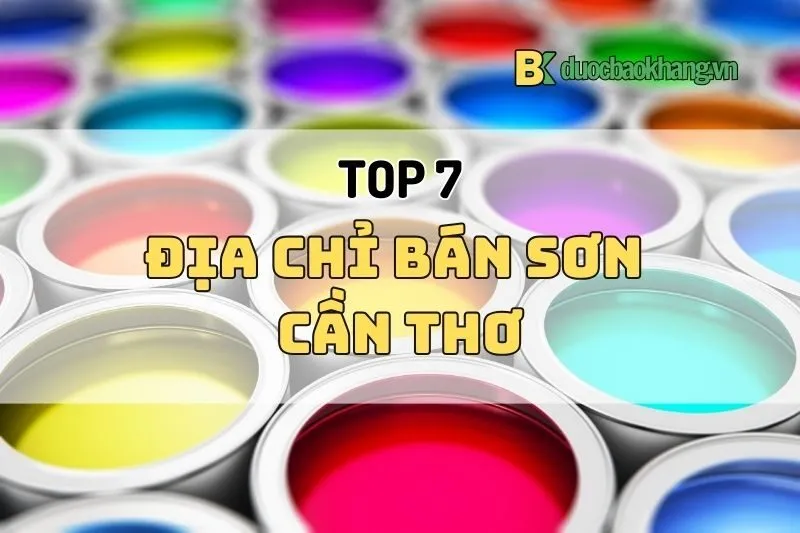 Địa chỉ bán sơn Cần Thơ 2025: Top showroom uy tín, giá tốt