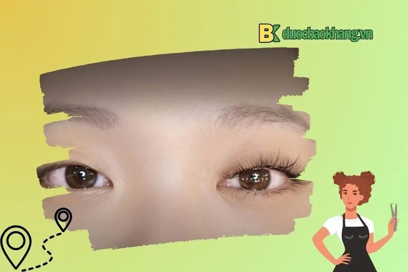 NgocHan Eyelash